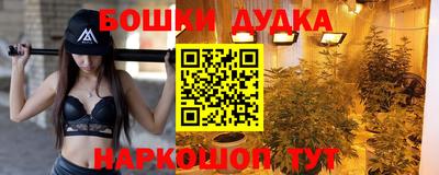 крисы Дубна