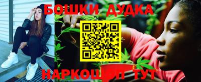крисы Дубна