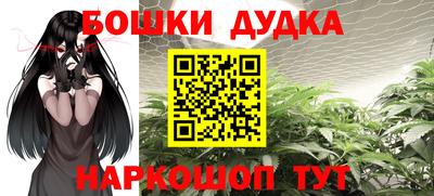 крисы Дубна