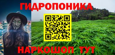 крисы Дубна