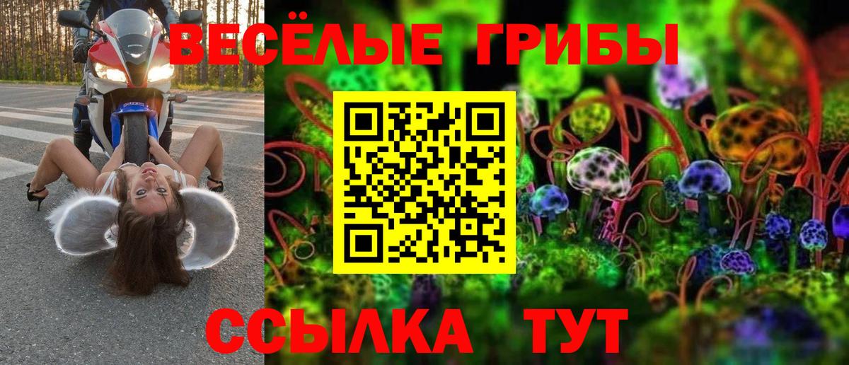Галлюциногенные грибы мицелий Карасук