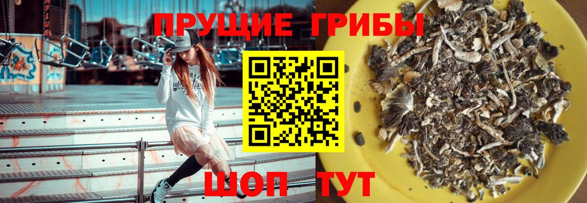 Карасук  купить закладку  Вход с VPN  Галлюциногенные грибы Psilocybine cubensis 
